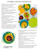Набор чаш Милиан Стандарт в новом цвете (600мл/ 1,4л/ 2,75л/ 4,5л) Tupperware